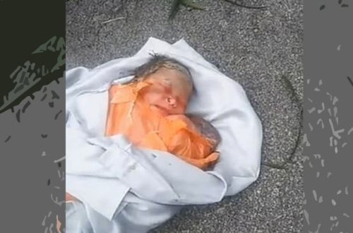 Küçənin ortasında kürəyinə paslı bıçaq saplanmış körpə tapıldı - FOTO