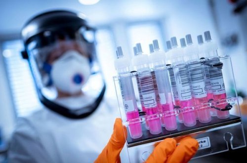 Обнародована последняя мировая статистика по коронавирусу