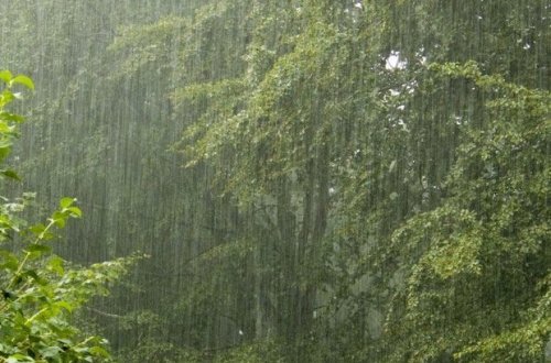 Sabah hava necə olacaq?