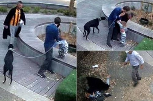 Narkoman kişi başqasının uşağını özününkü sayıb aparmaq istədi - VİDEO