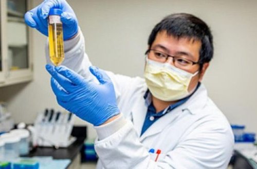 Найден полностью нейтрализующий коронавирус препарат