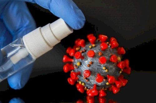 Alimlər koronavirusun necə yoluxduğunu tapdılar