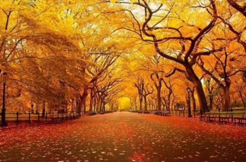 На следующей неделе в Азербайджане наступит осень