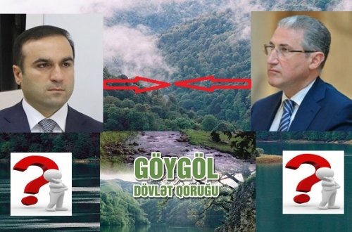 Göygöl Dövlət Qoruğu,Yoxsa Donuz Ferması?-VİDEO+FOTO