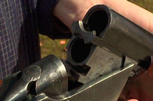 В Баку сын чиновника застрелил сестру