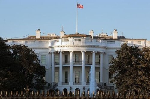 Белый дом из-за низкой работоспособности уволил критикующую Трампа сотрудницу