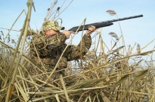 Ekspert yeni mövsümdə qanunsuz ovçuluq barədə: “Bir çöl kəkliyi belə müəssisədə 100 manata ola bilər”