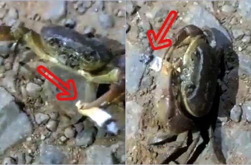 Siqaret tüstülədən xərçəng sosial şəbəkədə fenomen oldu