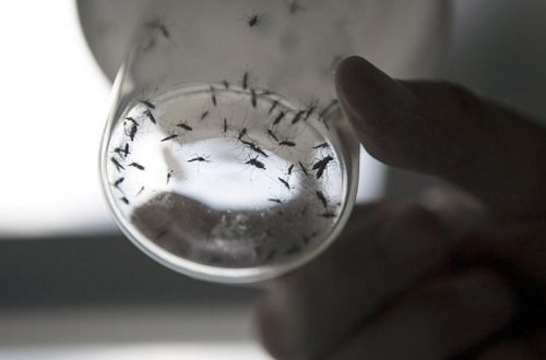 Türkiyədə ŞOK: insanlar çox böyük təhlükəli vəziyyətlə üz-üzə - FOTO