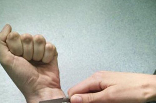 Elnarə Abdullayeva tanınmış modelyerə 40 min 