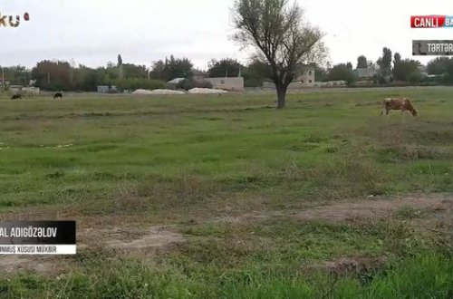 Tərtər cəbhəsində son vəziyyət - VİDEOREPORTAJ