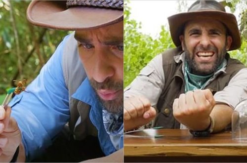 Həşəratlar tərəfindən qəsdən sancılandan sonra ağrı içində qıvrılmağını canlı yayımladı - VİDEO