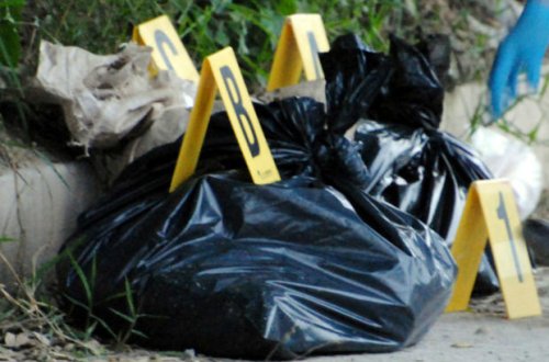 Meksikada yüzə yaxın insan qalığı tapıldı