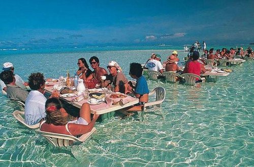 Dünyanın ən qeyri-adi restoranları - Akvarium, buz, insan kəllələri ilə bəzədilən - FOTO