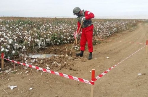 ANAMA tərəfindən cəbhəboyu ərazilərdə təxirəsalınmaz əməliyyatlar keçirilib