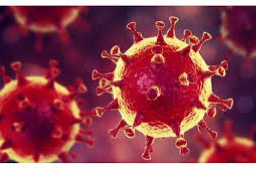 Koronavirusun ağrıkəsicilik xüsusiyyəti aşkarlanıb