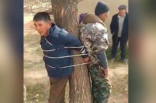 Qırğızıstandan qəribə görüntü: Məmur və polis ağaca bağlandı - VİDEO