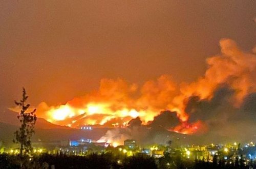 Türkiyədə terrorçuların meşəyə od vurması kameraya düşdü - ANBAAN VİDEO