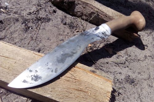 В Петербурге задержали подростка, пытавшегося убить мать с помощью мачете