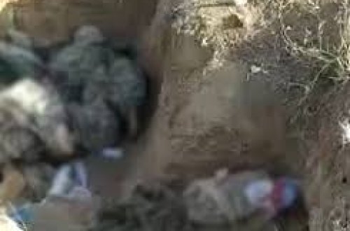 Qarabağda ermənilərin böyük itkiləri - Hər yer meyit doludur - VİDEO