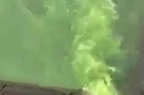 Moskva çayına axıdılan yaşıl maye sakinləri təşvişə saldı - VİDEO