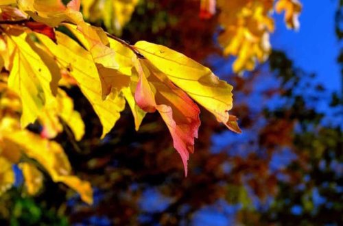 Sabahın havası açıqlandı