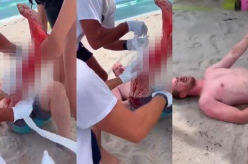 Köpək balığı dənizdə üzən turistə hücum etdi - VİDEO