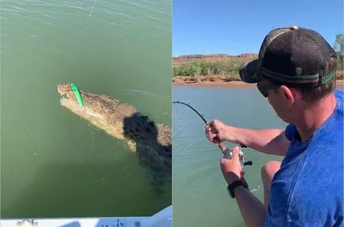 Tilovuna timsah düşən balıqçının görüntüləri maraqla qarşılandı – VİDEO