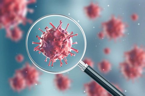 У коронавируса нашли уязвимое место