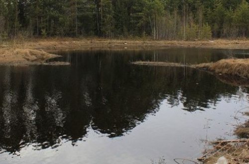 Dörd gün meşədə azıb qaldı: Giləmeyvə yedi, yerdə yatdı