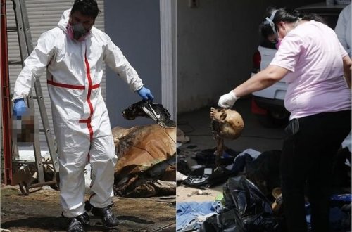 Yük gəmisində dəhşət: Gübrə konteynerində biletsiz insanların cəsədləri aşkarlandı - FOTO