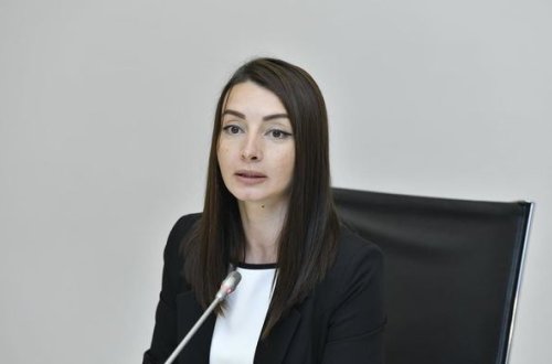 Лейла Абдуллаева сделала заявление в связи с нарушением Арменией режима прекращения огня – ВИДЕО