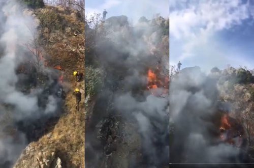 Ermənilər Daşkəsəni atəşə tutdu: Meşədə yanğın başladı - VİDEO