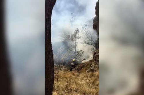 Ermənilərin atəşi nəticəsində Daşkəsəndə meşəlikdə başlayan yanğın söndürülüb - YENİLƏNİB + VİDEO