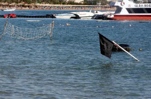 Tətilə gedən azyaşlının qolunu köpək balığı yedi - FOTO