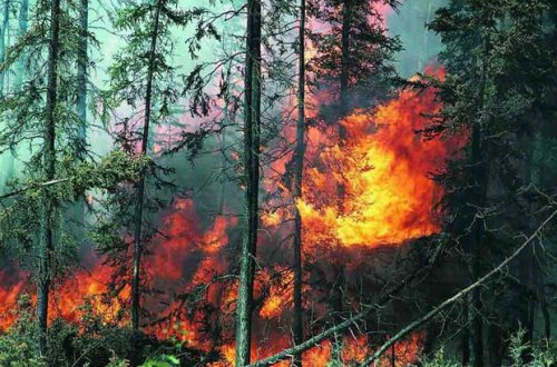 Ermənistan Göygölü atəşə tutdu: Meşədə yanğın başladı