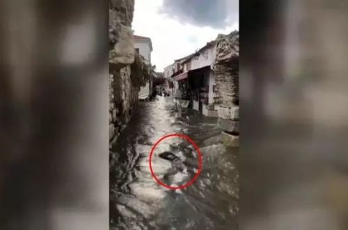 İzmirdə seli lentə alan gənc nənəsinin meyitini tapdı - VİDEO