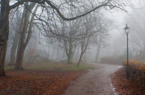 Прогноз погоды на 3 ноября