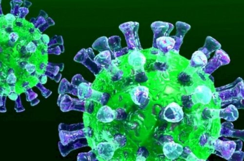 Paytaxtda ən yüksək yoluxma göstəricisi bu rayondadır