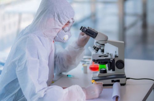 Число вылечившихся от коронавируса в мире превысило 34 млн