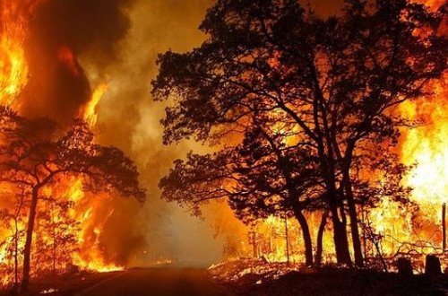 Ermənilərin meşələri yandırmasının əsl məqsədi açıqlandı - VİDEO