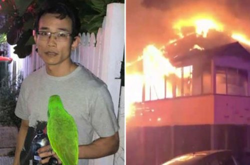 Tutuquşu yuxuda olan ev sahibini çağıraraq, onu diri-diri yanmaqdan xilas etdi - VİDEO