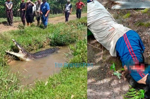 Мужчина ткнул крокодила в глаз и освободился из его пасти