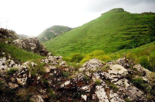Nazirlik ermənilərin ərazilərimizdə törətdiyi ekoloji terrorla bağlı məlumat yaydı