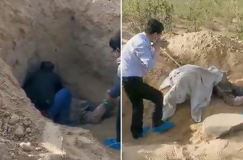 Anasını diri-diri basdırdı, cəzasını 6 ay sonra aldı - ŞOK VİDEO