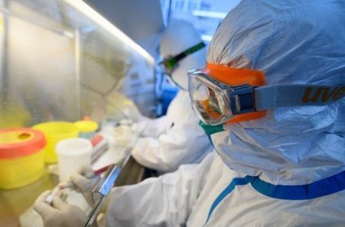 Обнародована последняя мировая статистика по коронавирусу