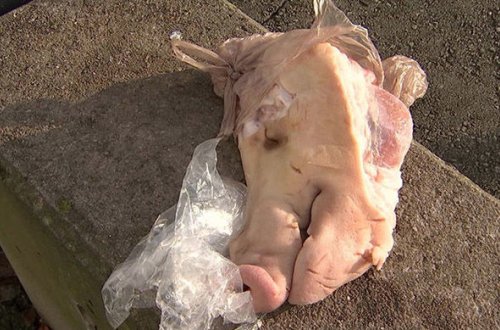 Ermənilərdən çirkin təxribat: Azərbaycanla Türkiyə səfirliklərinin önünə donuz başı qoydular - VİDEO