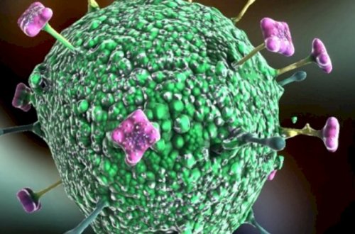 Yeni pandemiya riski barədə xəbərdarlıq