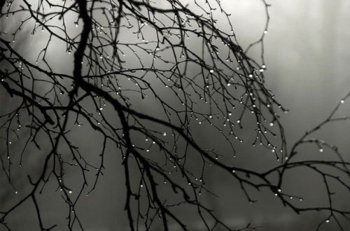 Sabahın havası: Dağlarda şaxta olacaq