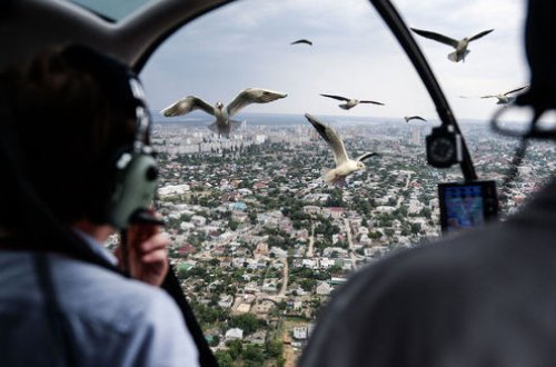 Sərnişin təyyarəsi quş dəstəsinə çırpıldı: İnsanların təşvişi kamerada - VİDEO